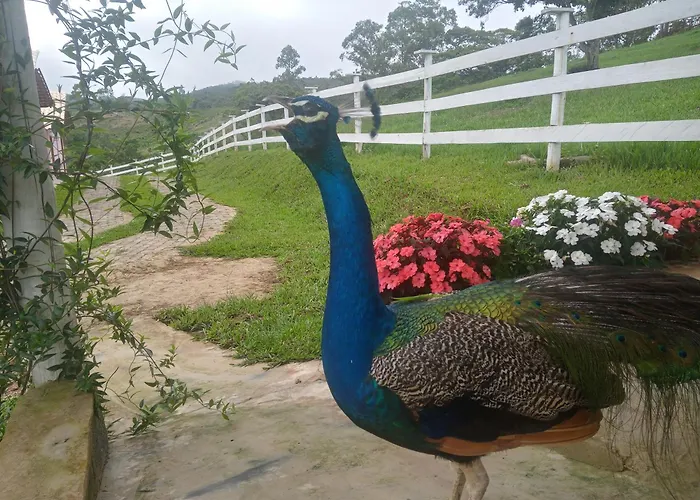 Pousada Paudorio